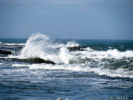 48751 (a): :1600x1200